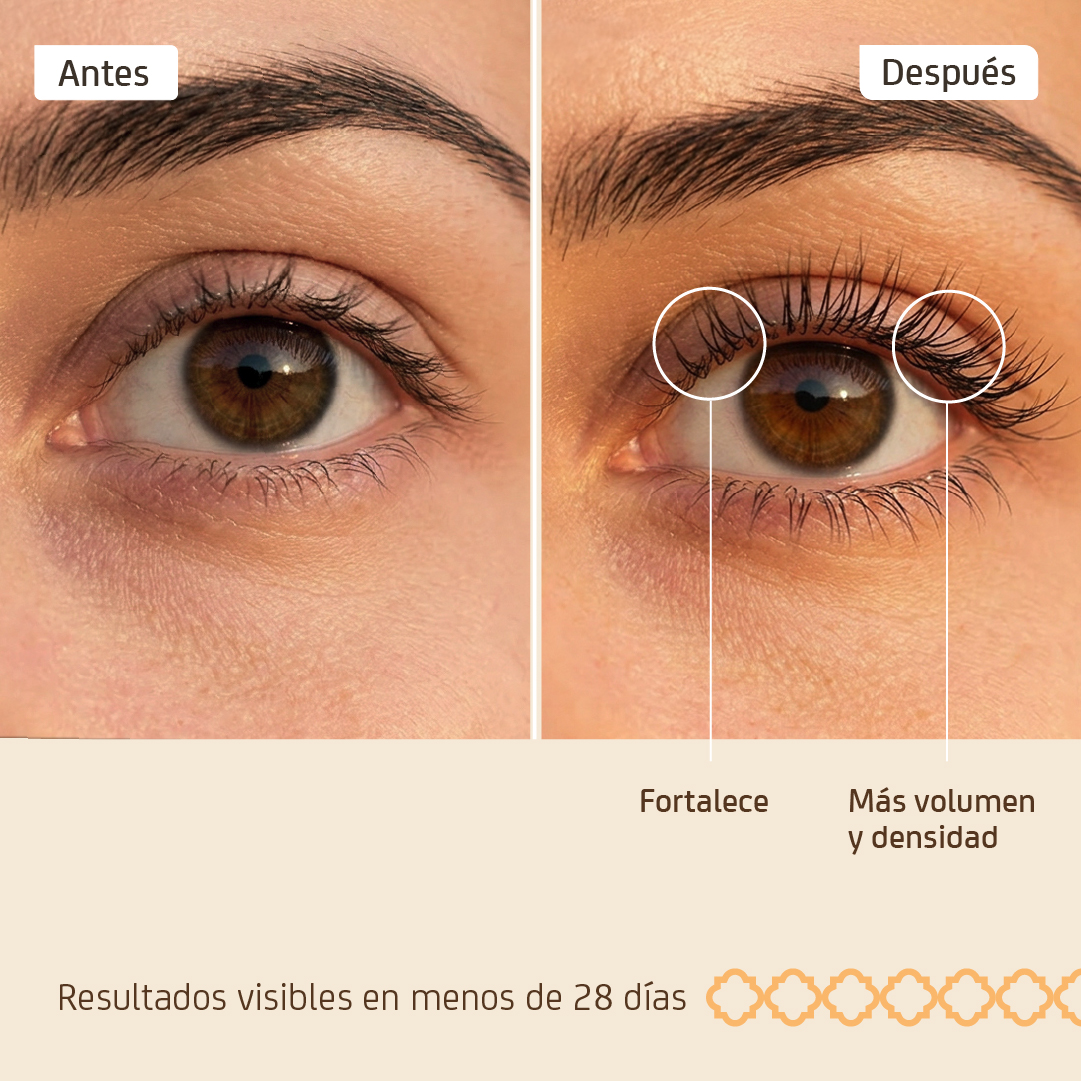 Lash Serum - Sérum Fortalecedor Pestañas + Voluminizador - Imagen 3