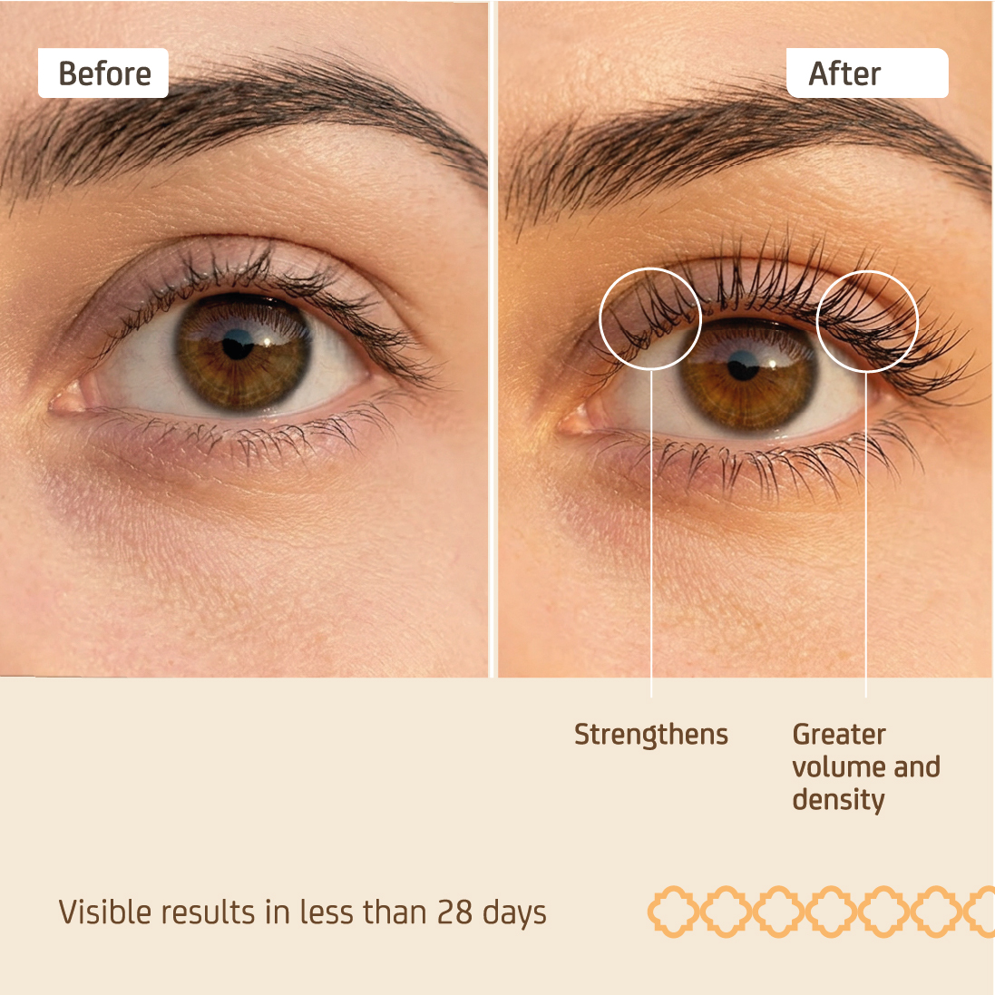 Lash Serum - Força & Volume - Image 3