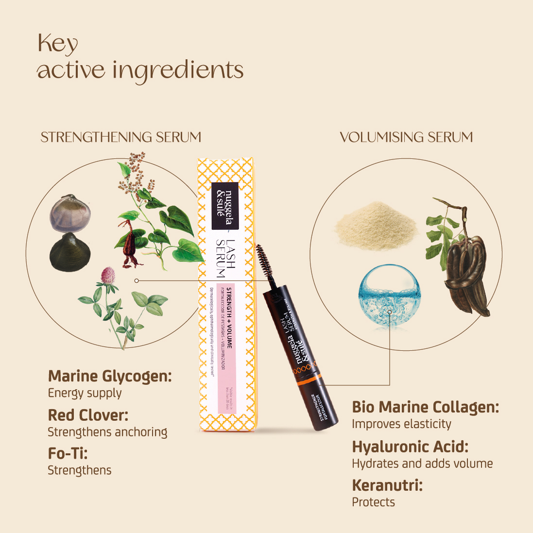 Lash Serum - Força & Volume - Image 7