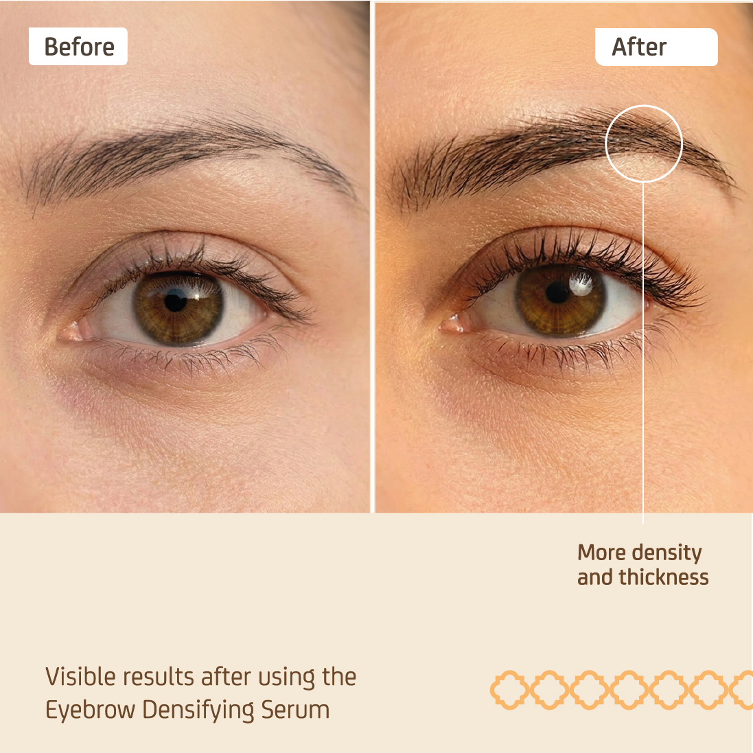 Brow Serum - Densifying Serum + Brush - Image 3