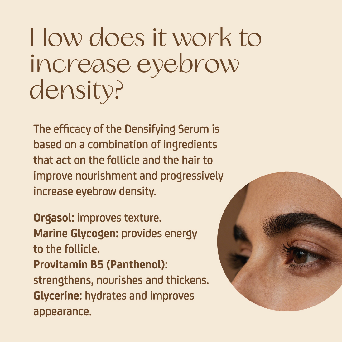 Brow Serum - Densifying Serum + Brush - Image 11