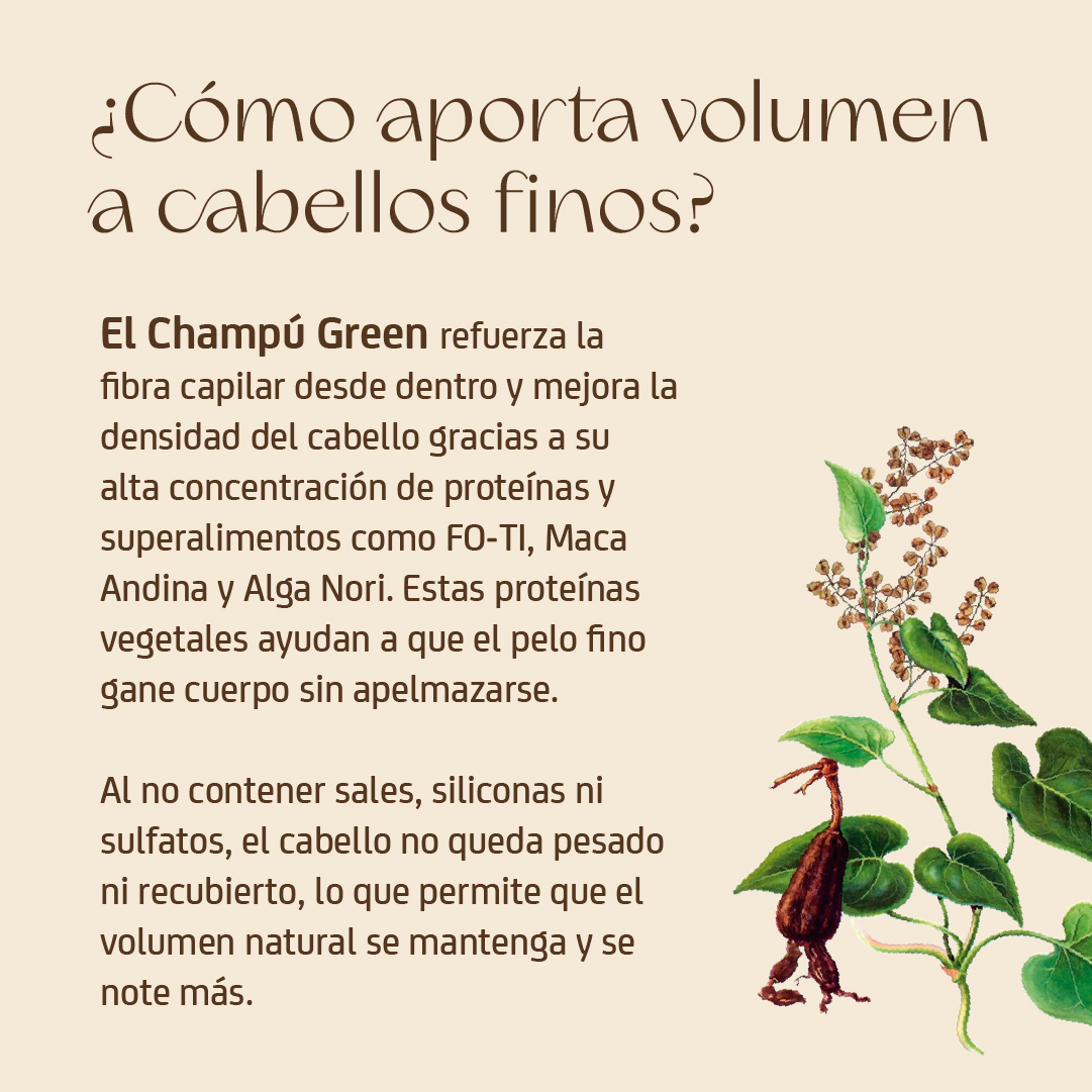 Champú GREEN - Imagen 11