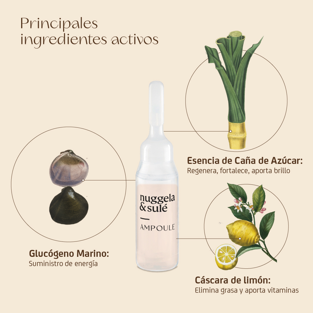 Ampolla Multivitamina-Energy - Imagen 7