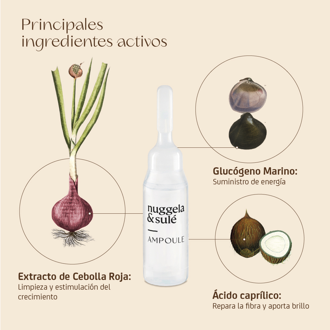 Ampolleta Anti-Caída Efectiva - Imagen 7