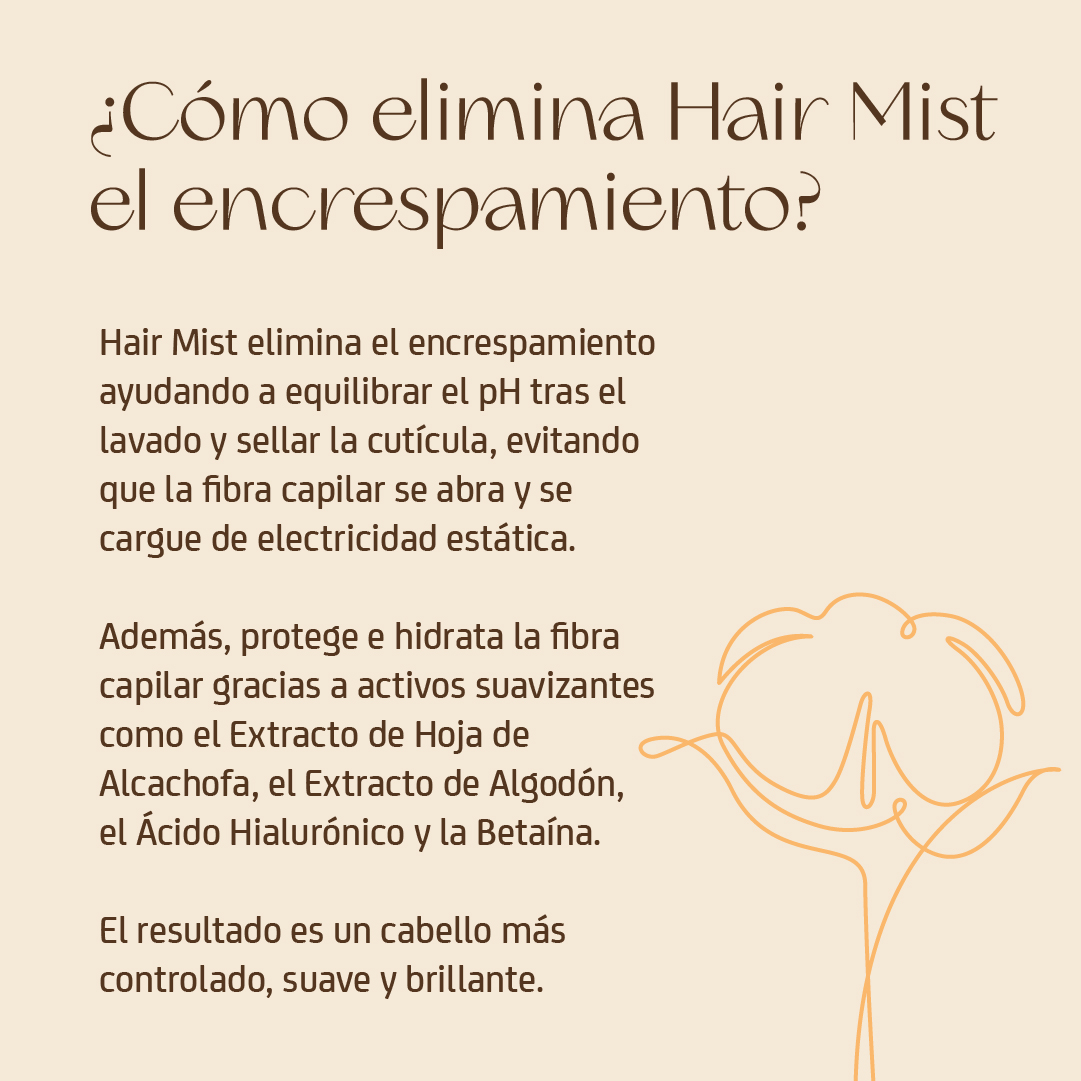 HAIR MIST - Bruma Capilar - Imagen 11
