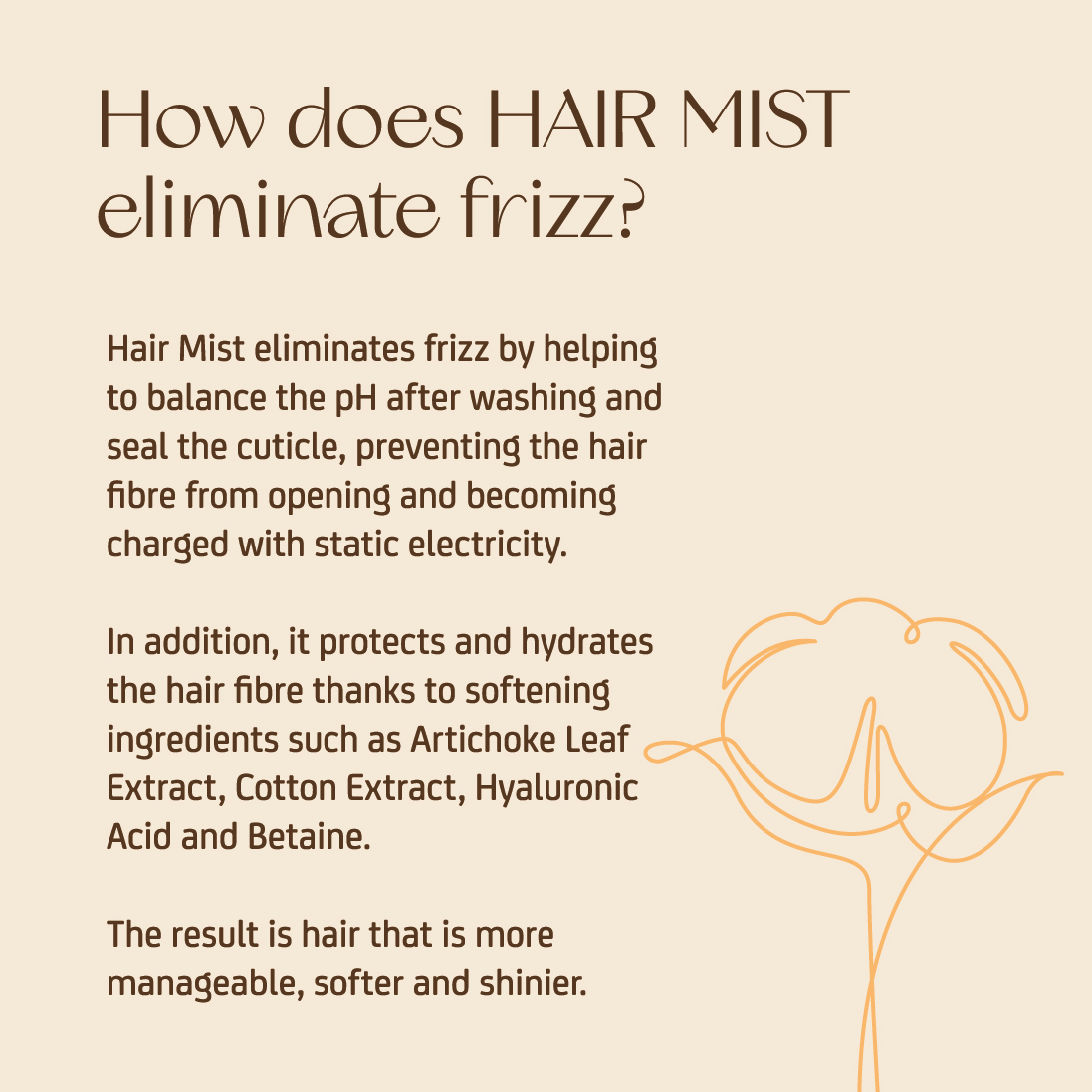 HAIR MIST - Névoa para o cabelo - Image 11