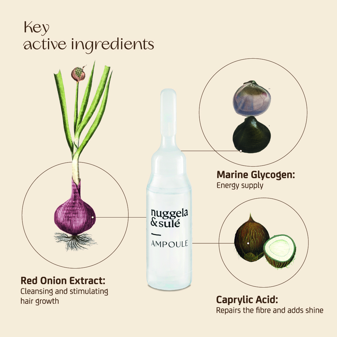 Effective Anti-Hair Loss Ampoules - Image 7