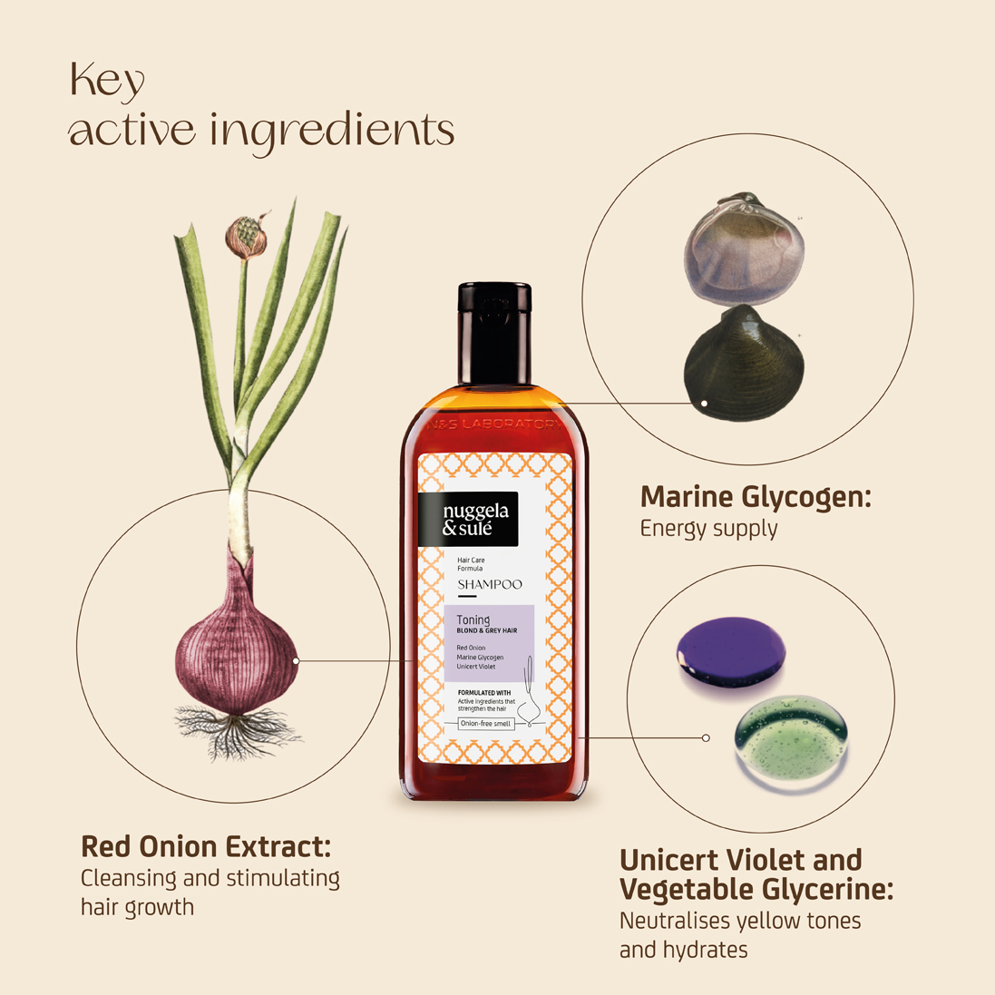 Toning Shampoo - Image 7