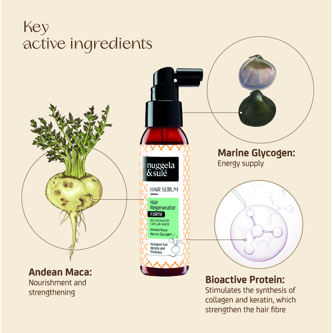 Sérum Regenerador Forte - Image 8